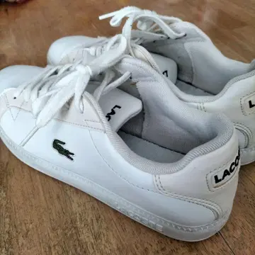 LACOSTE 화이트 스니커즈