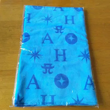 하마사키 아유미 2025 Summer 굿즈 a-nation 페이스타월