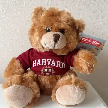 하버드 대학 테디베어 봉제 인형