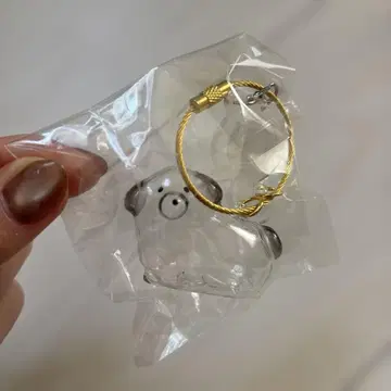 믹스 우리 애기 털뭉치