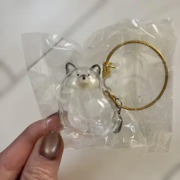 블랙 시바 우리 아이의 털뭉치