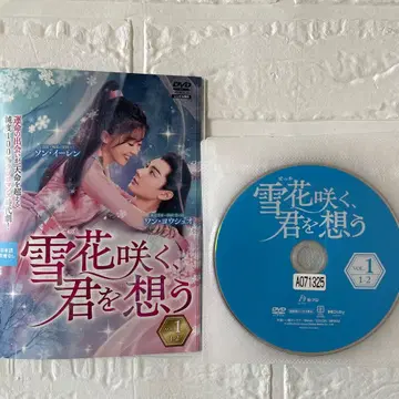 중국 드라마 유키하나, 너를 그리다 DVD 전 13권 세트