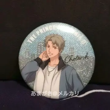 테니스의 왕자님 AVIOT 히요테이 글리터 캔뱃지 호오 타카토