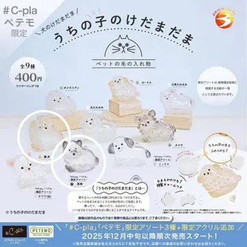 우리 집 강아지 털뭉치 시바견 2개 세트