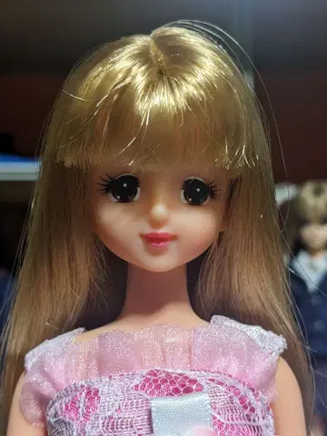 제니 롱 헤어 핑크 드레스 본체 일본제