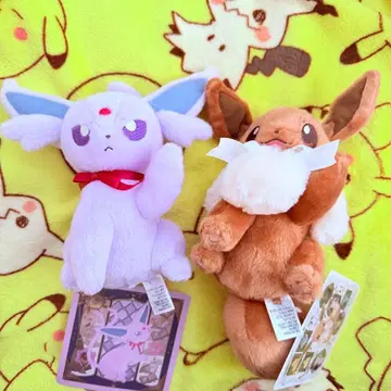 Eevee Collection 이브이 컬렉션 포켓몬 포켓몬 센터