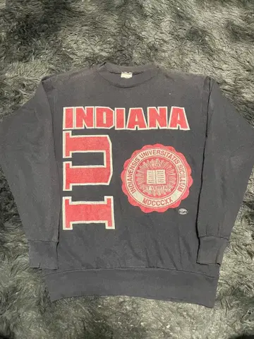 80s ver tex 맨투맨 리버스 위브 챔피온 미국제