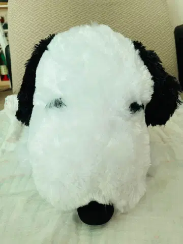 [택 포함 새상품] 스누피 봉제 인형 빅 사이즈