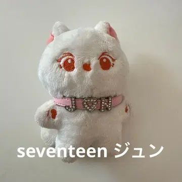 seventeen 준 마스터 마스코트 봉제 인형 10cm 인형 고양이
