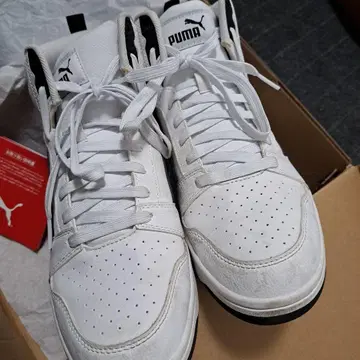 Puma 화이트/블랙 하이컷 스니커즈