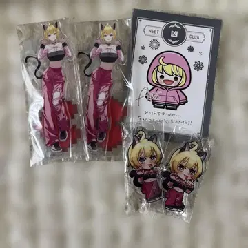 니트부 아아켄 씨 묶음 판매