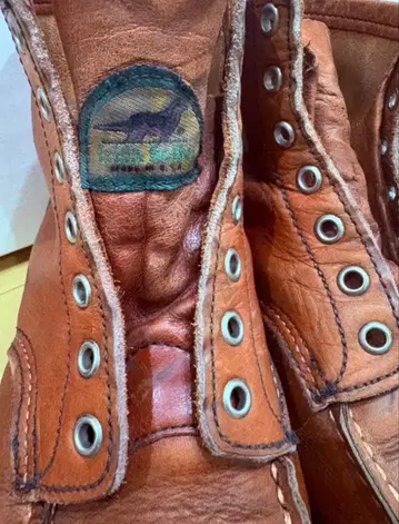 레드윙 875 아이리쉬 세터 반원 개 택