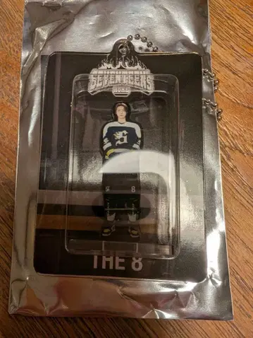 SEVENTEEN THE 8 HOME 키링