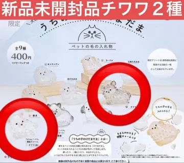 우리 아이의 털뭉치 강아지 치와와 블랙 화이트 2개 세트 한정판 모듬