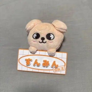 퍼핌 네임 백참 namebagcharm 스키즈 승민