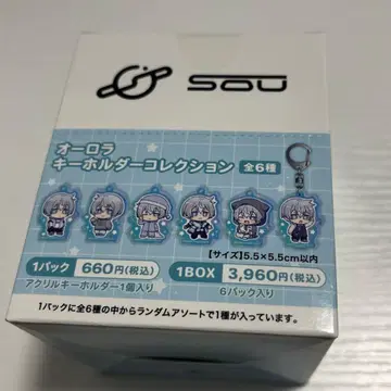 Sou 애니메이트 오로라 키링 [세트 판매]