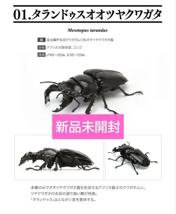 생물대도감 사슴벌레 04 타란두스오오츠야쿠와가타 미개봉 새상품