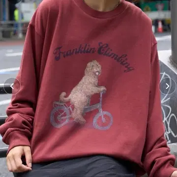 Franklin Climbing 래브라도들 그래픽 맨투맨