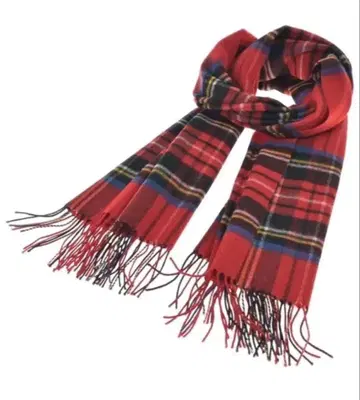 새상품급 a day in the life UNITED ARROWS 스톨