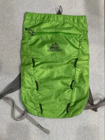 GREGORY 그린 백팩