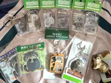 마늘 고양이 굿즈 세트