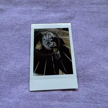 O-MENZ 폴라로이드 오카메 새장