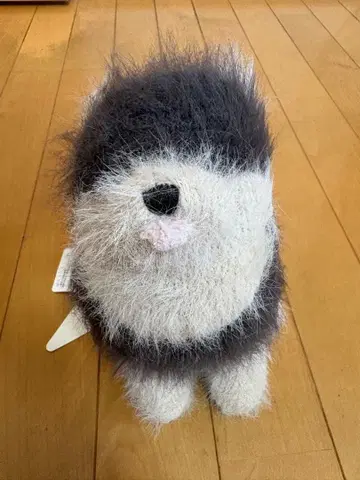 [택 포함] 젤라또피케 포메라니안 봉제 인형 하자 있음