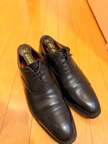 스코치 그레인 SHINE OR RAIN 2776BL (E)