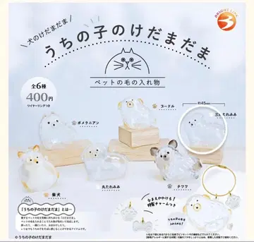 우리 애기 털뭉치 강아지 세모 귀