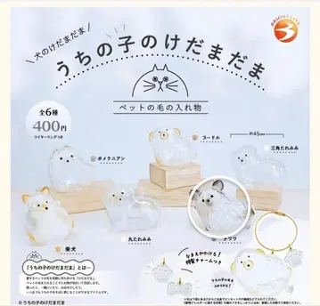 우리 집 털뭉치