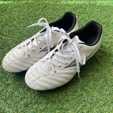 미즈노 모나르시다 네오 화이트 스파이크