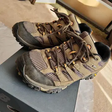 단종 머렐 모아브 2 트레킹 슈즈 브라운 26.5cm