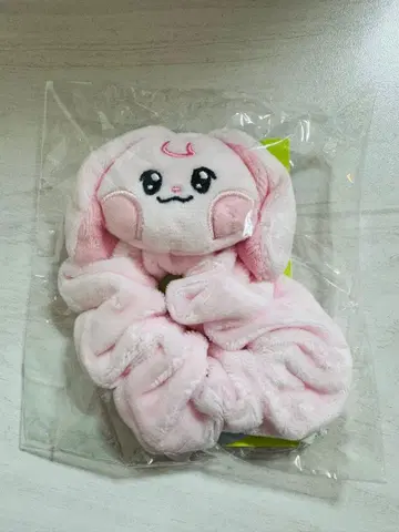 NCT DREAM Dreamiez 스크런치 재민