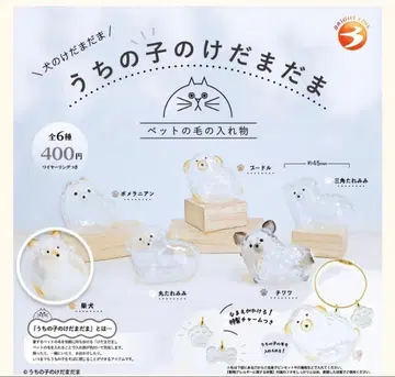 우리 애기 털뭉치