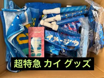 초특급 카이 굿즈
