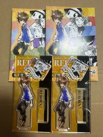 가정교사 히트맨 REBORN! 아크릴 피규어&참 사와다 츠나요시 2점