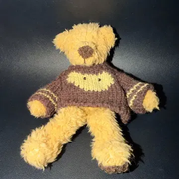 스웨터를 입은 곰 봉제 인형