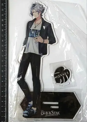 브라스 타 은성 BIG 아크릴 피규어 여름 사복ver. 블랙 스타