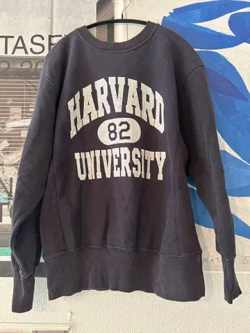 [ 챔피온 ] HARVARD UNIVERSITY 로고 맨투맨
