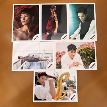 Snow Man 이와모토 테루 군 공식 사진 세트