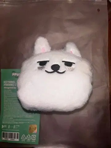 txt ppulbatu 뿔바투 용몽 코인 케이스