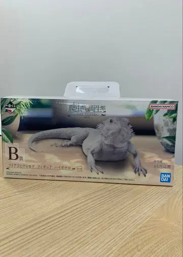 제일복권 파충류 & 양서류 B상 비어디 드래곤