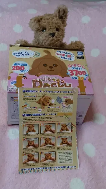 타카라토미아츠 더 똑똑한 덕키