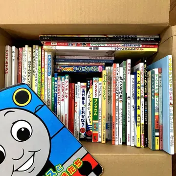 250권 그림책 세트 묶음 판매