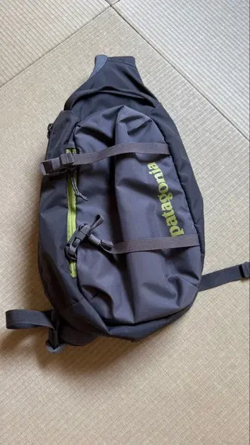 patagonia Atom 8L 슬링백