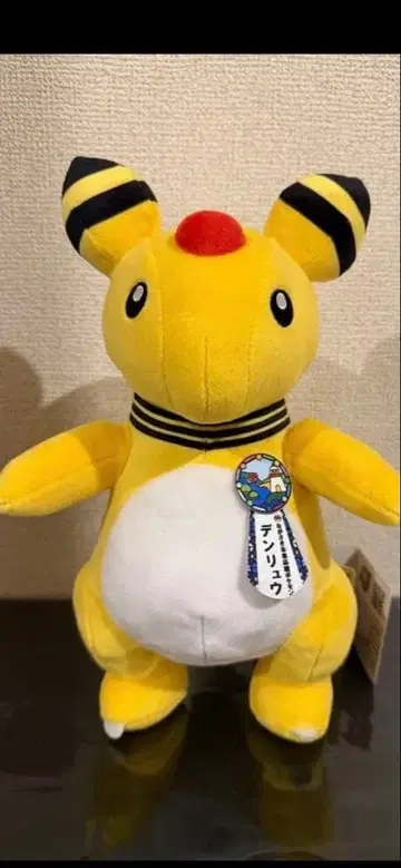 포켓몬 물산전 덴트 로컬 Acts