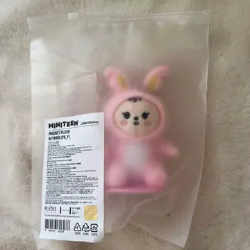 SEVENTEEN 정한 MINITEEN 마그넷 키링