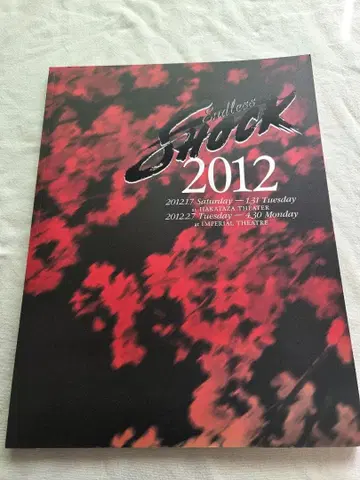 Endless Shock 2012 팜플렛