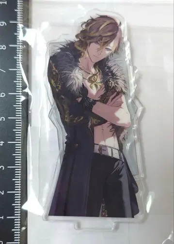 브라스 타 케이 아크릴 스탠드 5주년 낭독 YSK 블랙스타