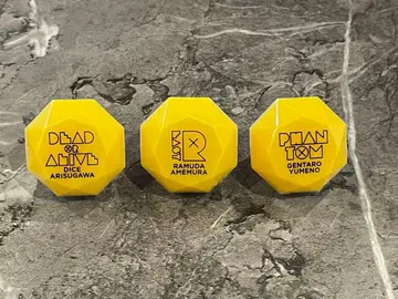 히프노시스 마이크 링 라이트 Fling Posse